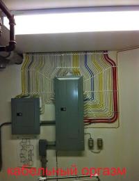 Рай для перфекциониста