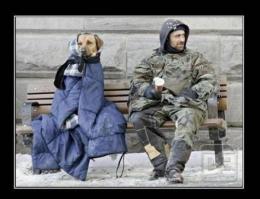 15 доказательств, что добро неподвластно обстоятельствам