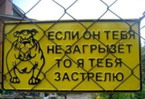 Тибетский Мастиф