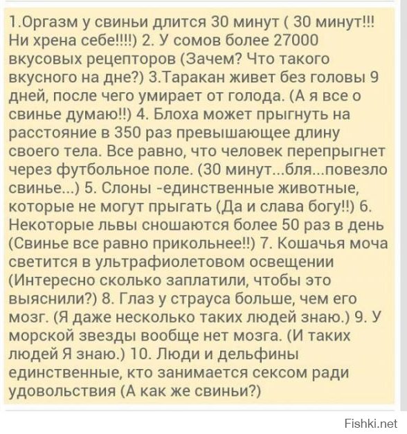 10 удивительных фактов