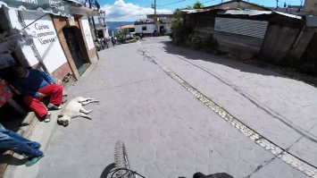 Собакену вообще пофиг))