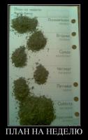 Вот "правильный" план на неделю ;)