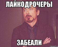 ты теперь каждый день будешь выкладывать брошенных котят?