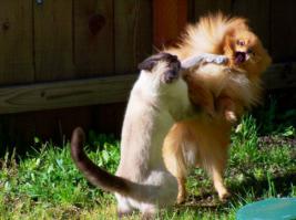 Зачётный с лева