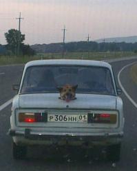 Камера заднего вида?