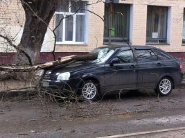 на последней кафе летнее сдуло