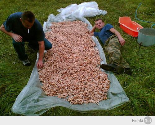 Это не вы после сбора урожая?))