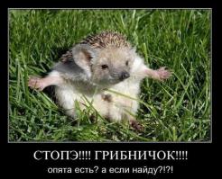 По грибочки...