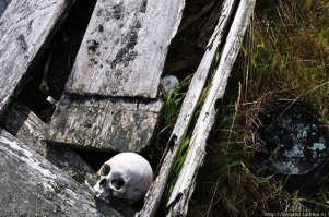 Вот правильная последовательность картинок