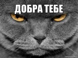 Поехал забирать машину, как вдруг