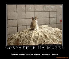 Фишкина солянка за 07.08.2014