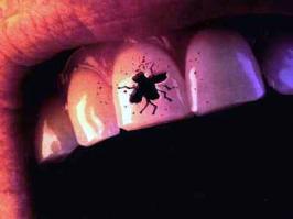 мухи уже не те...