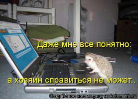 Фишкина солянка за 25.08.2014