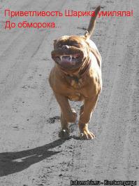 Фишкина солянка за 01.09.2014г.