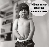 Кто то с первого взгляда будет считать что собака сейчас убьёт котёнка