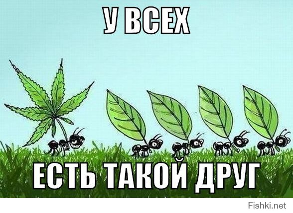 - У тебя голова болит?
- Э-э-э? Нет... а чего?
- Не работает значит... куклу Вуду вот проверяю.