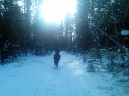 вот были бы впечатления....