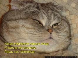 какие очаровашечки-британцы