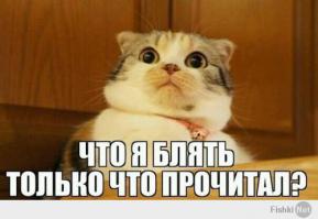 фу, ****ь, какая гадость