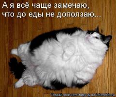 Смешные картинки с подписями