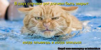 Смешные картинки с подписями