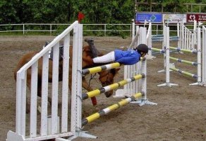 Фото сделанные в нужный момент