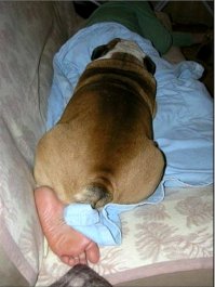 Показалось