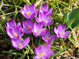  20 животных, в которых каждый узнает себя  