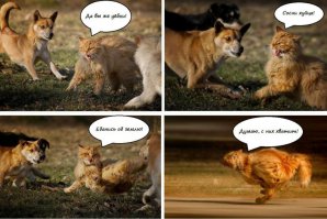 Эпические провалы