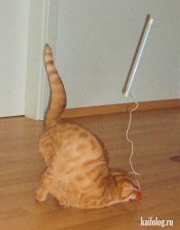 Удачный кадр