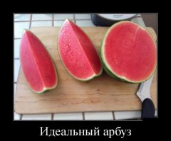 Подборка свежих демотиваторов