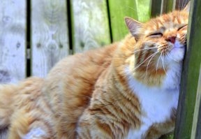 Фотоподборка за 24.04.2015