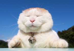 Фотоподборка за 29.04.2015