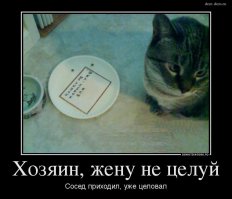 Подборка демотиваторов