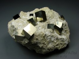 Фотоподборка за 07.05.2015