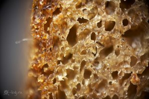 хлеб под микроскопом