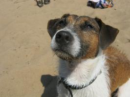 Просто сэр Юджин Нафаня Джон