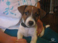 Взгляд оценивающий...