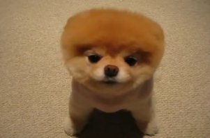 Милота
