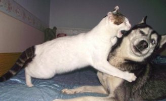 По всякому бывает