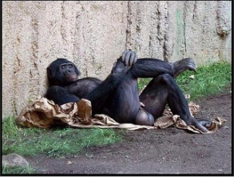 Тестостерон как бэ зашкаливает.