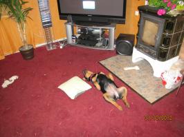 Моя дорогая девочка отдыхает