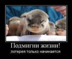 Фишкина солянка за 05.07.2014