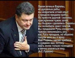 А как тебе это, придурь лесная?!