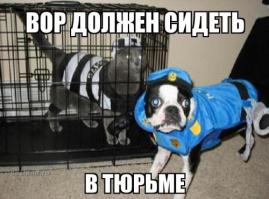 Ночной охотник
