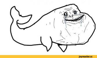 Самый одинокий кит в мире