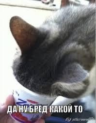 Я вернулась из офиса