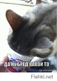 Я вернулась из офиса