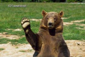 Привет Медведь-Убойные приколы