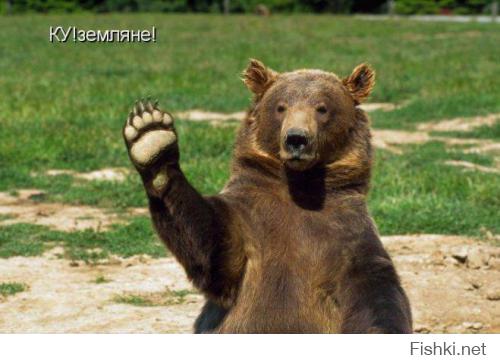 Привет Медведь-Убойные приколы